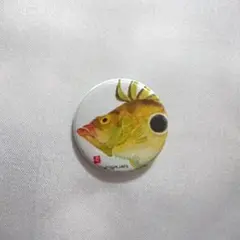 魚 ミニ 缶バッジ