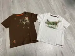 ベビーギャップ　昆虫Tシャツ　かえる　バッタ