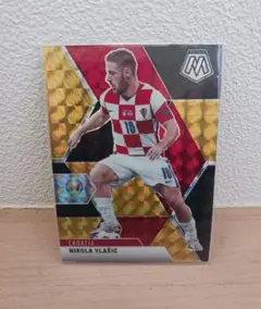 PANINI シリアル ニコラ・フラスチッチ & エルセイド・ヒシャイ
