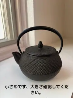 [鉄分補給]南部鉄器　鉄瓶急須　茶こしつき　小さめ