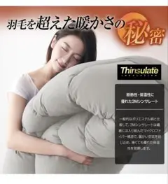 シンサレート 掛け布団 セミダブル 防ダニ 抗菌防臭 170x210cm グレー