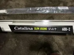 ダイワ(Daiwa) キャタリナ SJ 60B-2