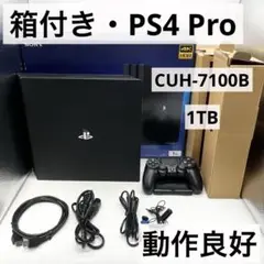 Item thumbnail for item 0c95a34d-7b3f-49b3-a687-eed3159484e5