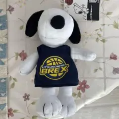 Utsunomiya Brex スヌーピー ぬいぐるみ