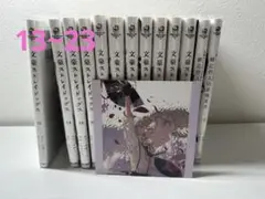 文豪ストレイドッグス 13~23巻 外伝