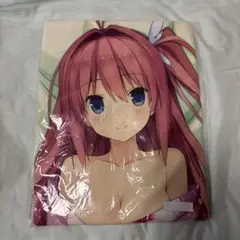 【新品未開封品】蒼の彼方のフォーリズム　有坂真白　抱き枕カバー　正規品 2025年最新】蒼の彼方のフォーリズム 抱き枕カバーの人気