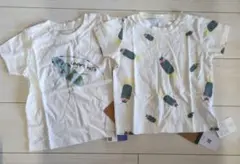 週末値下げ新品未使用ホタル、カミキリムシTシャツ 105cm サイズ 2枚セット