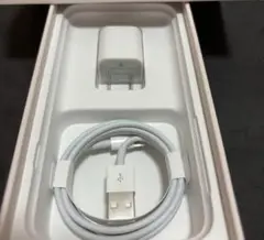 Apple純正充電セット新品未使用品