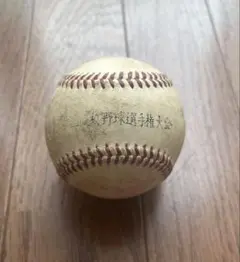 全国高校野球選手権大会 試合球 ファールボール