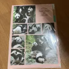 パンダ クリアファイル シャオシャオとレイレイ