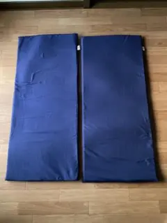 トゥルースリーパー　ごろ寝マット(2個セット)
