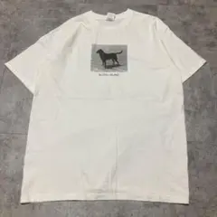 “anvil アンヴィル　アニマル　犬　Tシャツ　フォトT