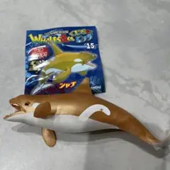 クジラアタックアンドコ　レア　金シャチ