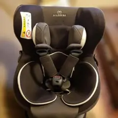 Item thumbnail for item 514b075b-52fd-4246-912b-0ae0a585a90c