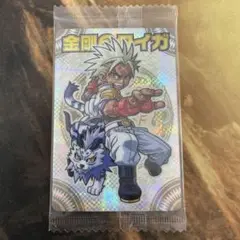 神羅万象チョコ　金剛のタイガ　二章1弾