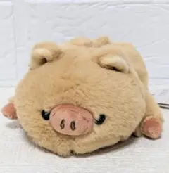 くたくたぺったん　うりぼー　ぬいぐるみ　14cm