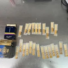 Item thumbnail for item 750cba10-1063-43bd-ac81-e9ebfaf02556