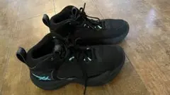 Item thumbnail for item 26a1b95f-db1f-4bc0-8f88-f78b16ba665a