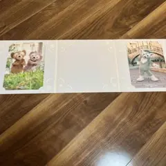 東京ディズニーシー フォトファンのセット 2Lサイズの写真2枚＋台紙