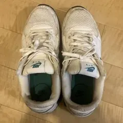 NIKEエアマックスシューズ