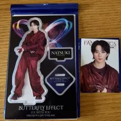 FANTASTICS アクスタ フォトカ 澤本夏輝