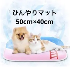 Item thumbnail for item 27d4dfb7-9c6e-4b43-ab9c-cb6f04120e4e