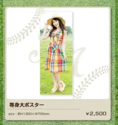 Amazon.co.jp: 水樹奈々 超特大 等身大 ポスター 180cm×70cm ②