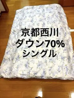⭐️京都西川⭐️羽毛掛け布団⭐️肌掛け羽毛布団⭐️夏羽毛布団⭐️シングル⭐️洗える羽毛布団