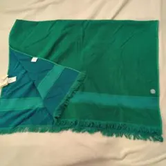 Item thumbnail for item 6fee6707-a0fc-40dd-96fb-aa0cdb9d2cf1