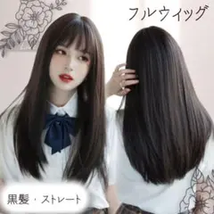 ウィッグ ロング ストレート 黒 セミロング 黒髪 カツラ 女性 ブラック 小顔