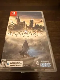 Hogwarts Legacy Nintendo Switch