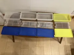 Item thumbnail for item e0d9410f-4958-46e0-af80-8c1e5dfd9994