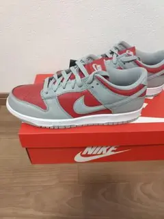 Nike Dunk Low Varsity Red Silve　ネバダ