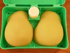 Item thumbnail for item 12516f2d-42fe-4e4a-9bb7-2e26af74ba76