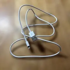 Lightningケーブル ホワイト USB-A