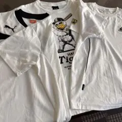 白Ｔシャツ　プーマ　アディダス　他1枚