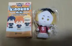 ハイキュー　kinokos mini　キノコス　ミニ　狐爪 研磨　1点