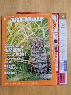 Item thumbnail for item 77b9bf64-7b5f-4fd3-aaa7-eeb6f14a0580