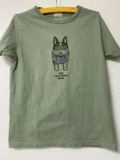 TES エンドレスサマー