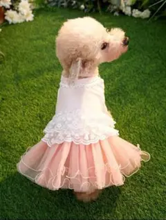 犬服ウエディングドレス|ワンピース|猫服|オーガンジー高級感◉Mサイズ|結婚式