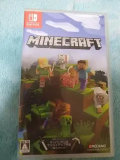 Minecraft Nintendo Switch版