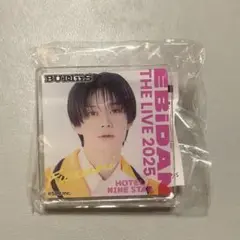 エビライ2025 デコガチャ FUMINORI