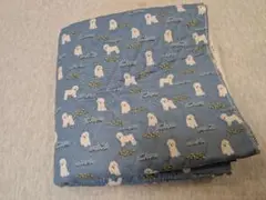 Item thumbnail for item 2a676ff4-3bac-4b02-aab2-3d4843158289