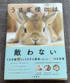 うさぎ様には敵わない