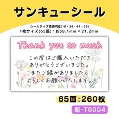 新・T6004／ケアシール 65面×4シート／サンキュー 宛名 おまけ