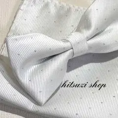 Item thumbnail for item fc86e482-cff6-4137-98bf-fb125ff5946c