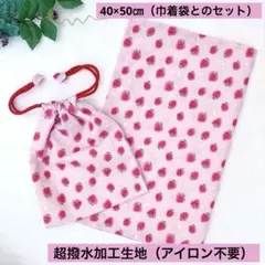 【撥水加エ】ランチョンマット40×50㎝と巾着袋のセット 入園入学準備　いちご柄