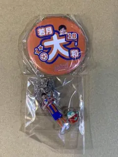 アルビレックス新潟 18.若月 大和選手　グッズセット