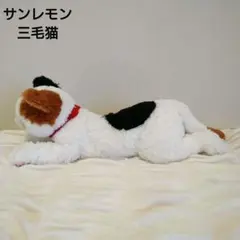 サンレモン　ひざねこ　ぬいぐるみ　三毛猫