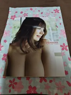 藤崎里菜　写真集　Blossom　帯無し　初版